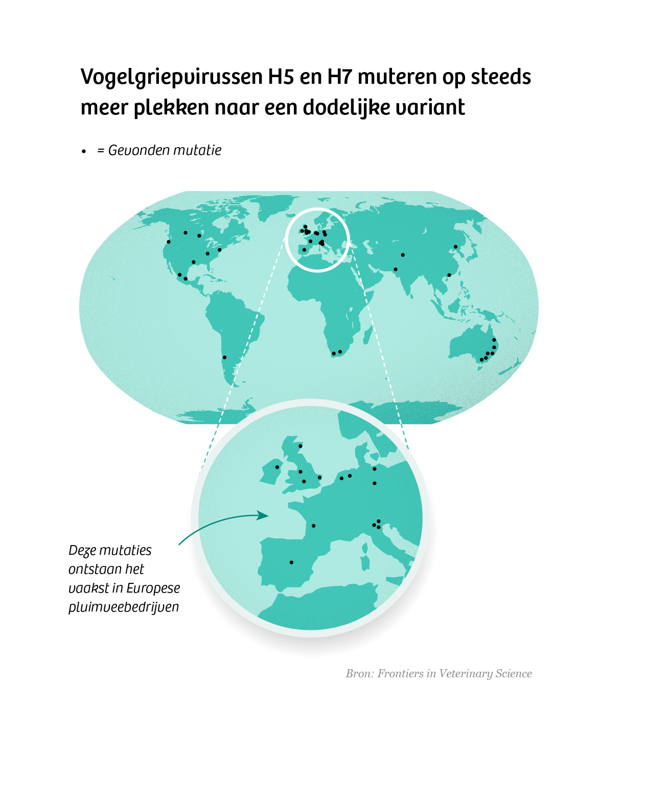 portfolio project page - bird flu map